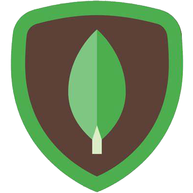 MongoDB
