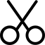 zyCapture