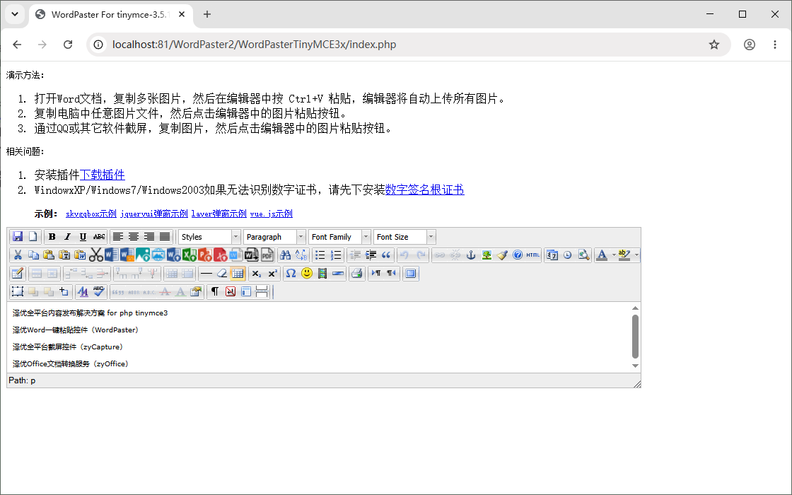 TinyMCE 3.x 集成效果