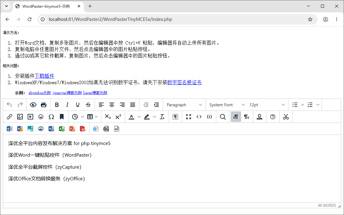 TinyMCE 集成效果